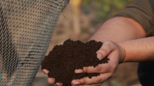 100% cow dung-based product